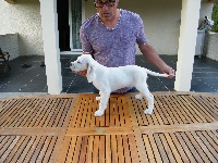 CHIOT